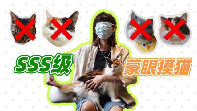 SSS级难度蒙眼猜猫,铲屎官频频猜错.猫:咱们漂流瓶见