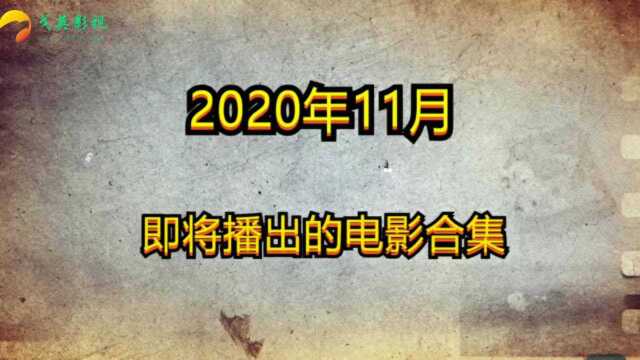 2020年11月即将上映的电影合集 剧情超然!