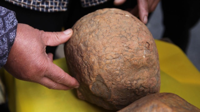 山东新泰陨石克里普岩临淄陨石展