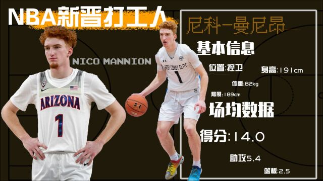 【2020年NBA新晋打工人:尼科曼尼昂】NBA新晋“红曼巴”