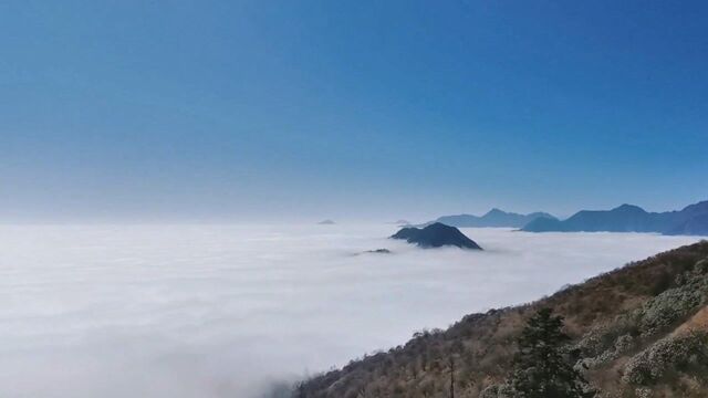 西岭雪山云海来袭,宛如仙境!