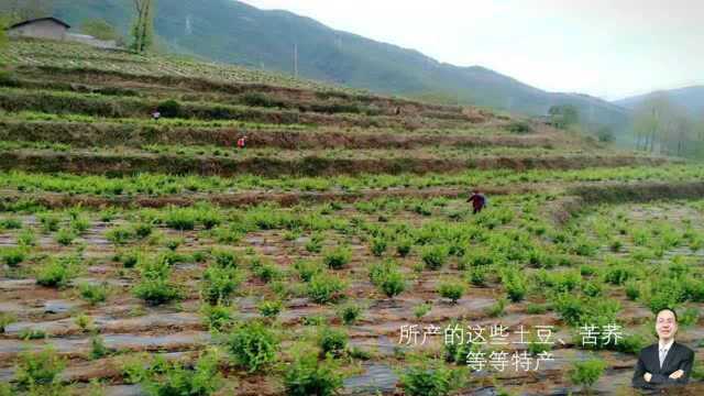 四川移动7月总经理接待日直播回顾