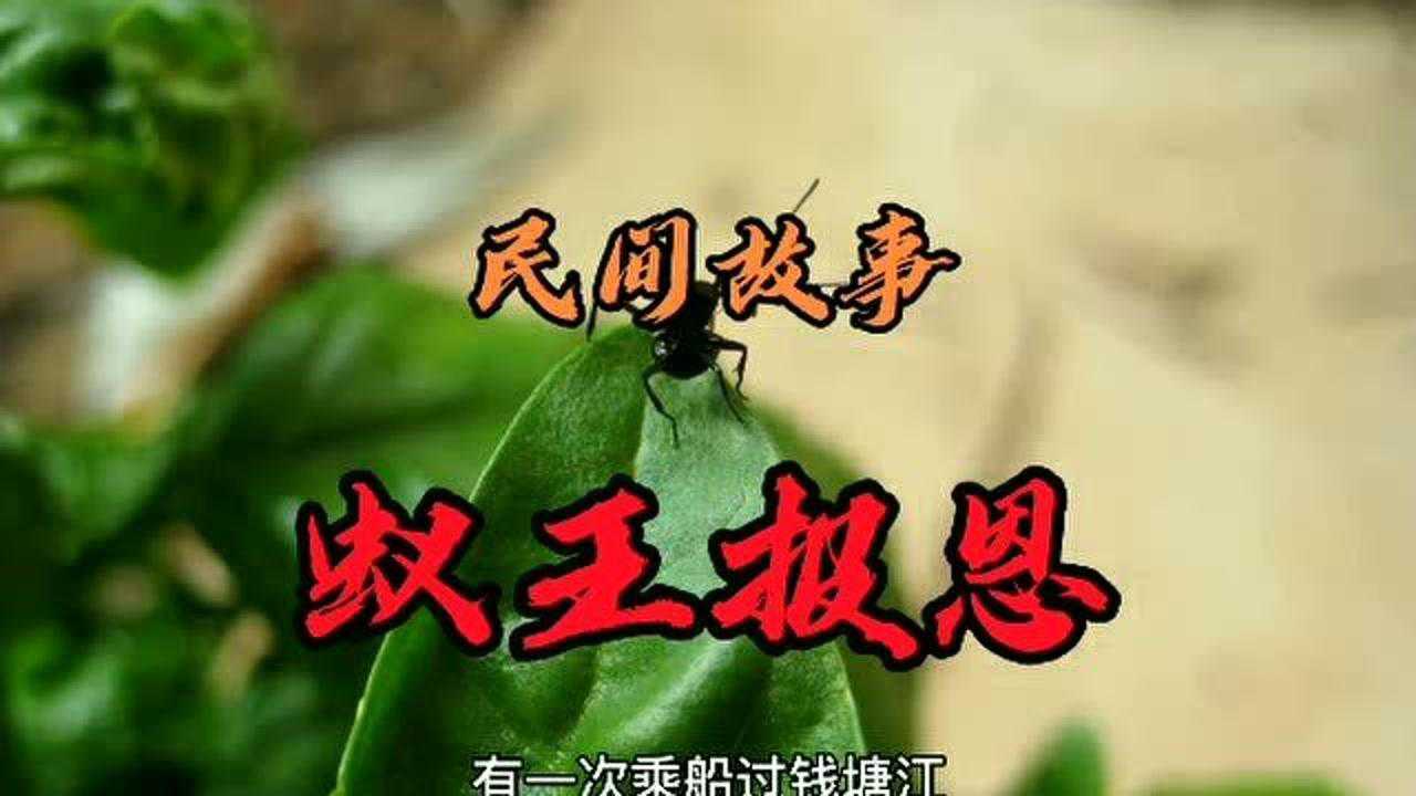 民间故事:蚁王报恩