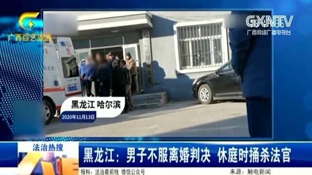 男子不服离婚判决,休庭时捅杀法官