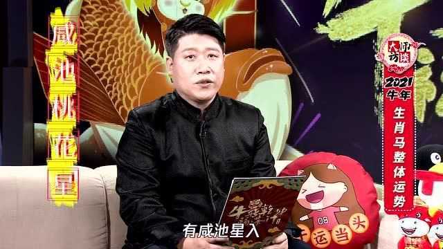 “生肖马”2021年害太岁!著名易学专家预测异性缘暴涨?