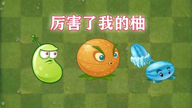 Pvz2充能柚子果然厉害,报纸僵尸瞬间被秒杀