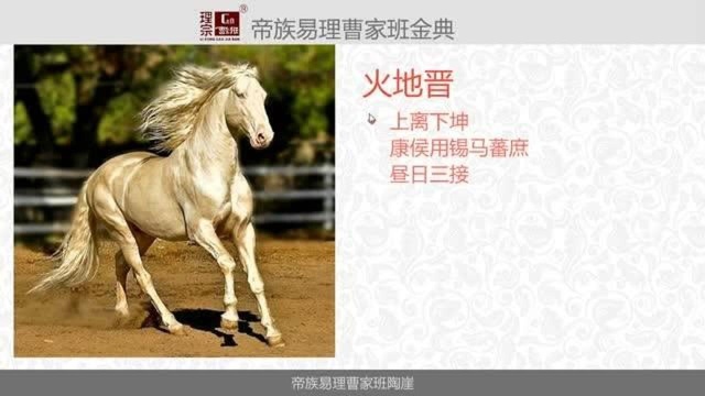 新手如何学易经第12集周易中的“锡马蕃庶”