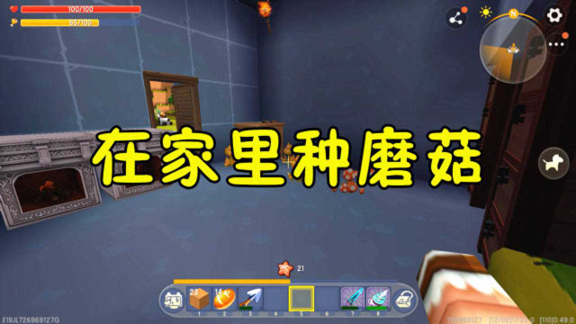 王木薯极限生存41种竹子做花田顺便在家里种蘑菇