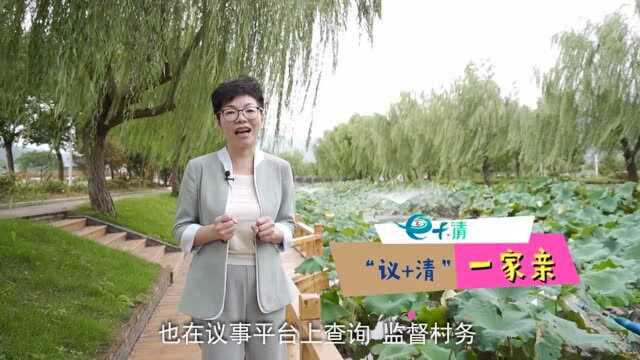 我为“清廉村居”代言——走进温州苍南