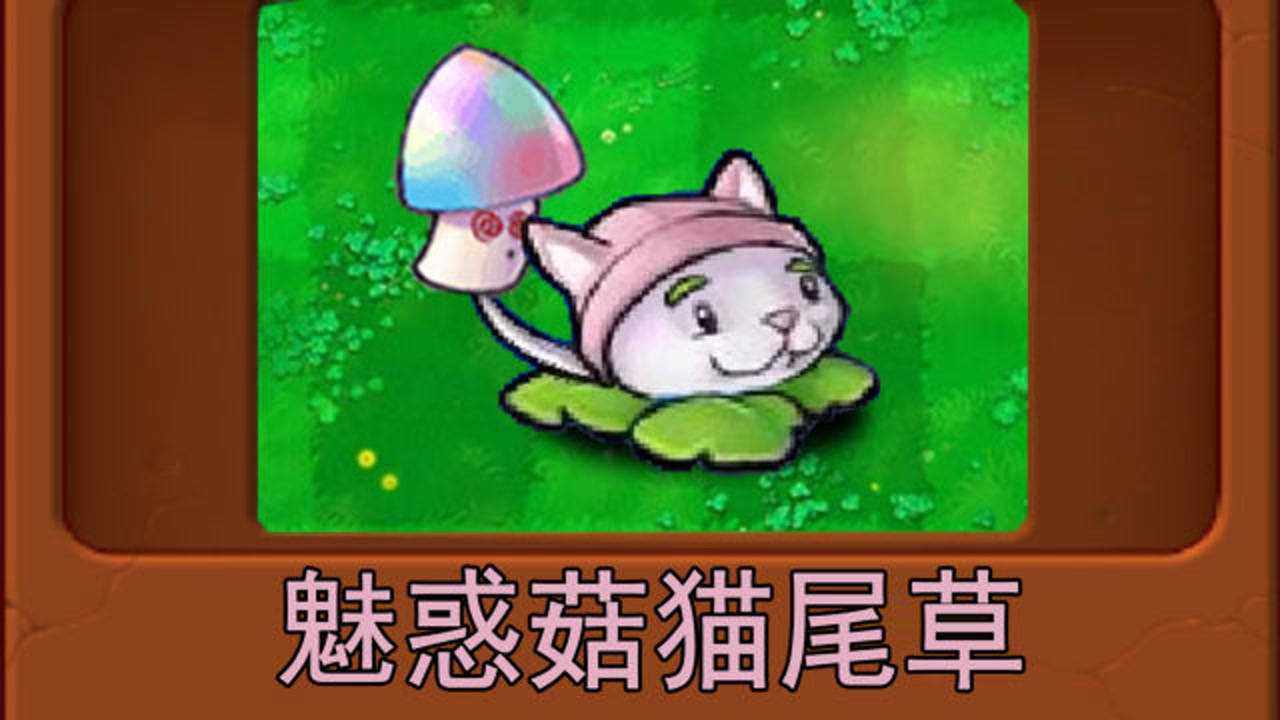 新植物:魅惑菇貓尾草(植物大戰殭屍魔改版)