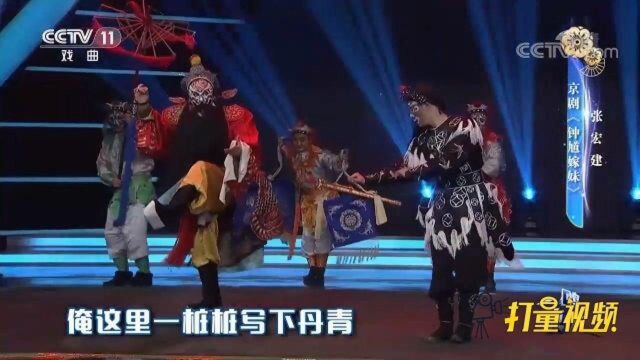 张宏建等演绎京剧《钟馗嫁妹》,造型完美,节奏感强