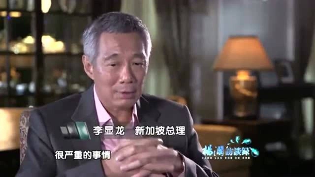 杨澜:新加坡总理也玩脸谱网,太幽默了