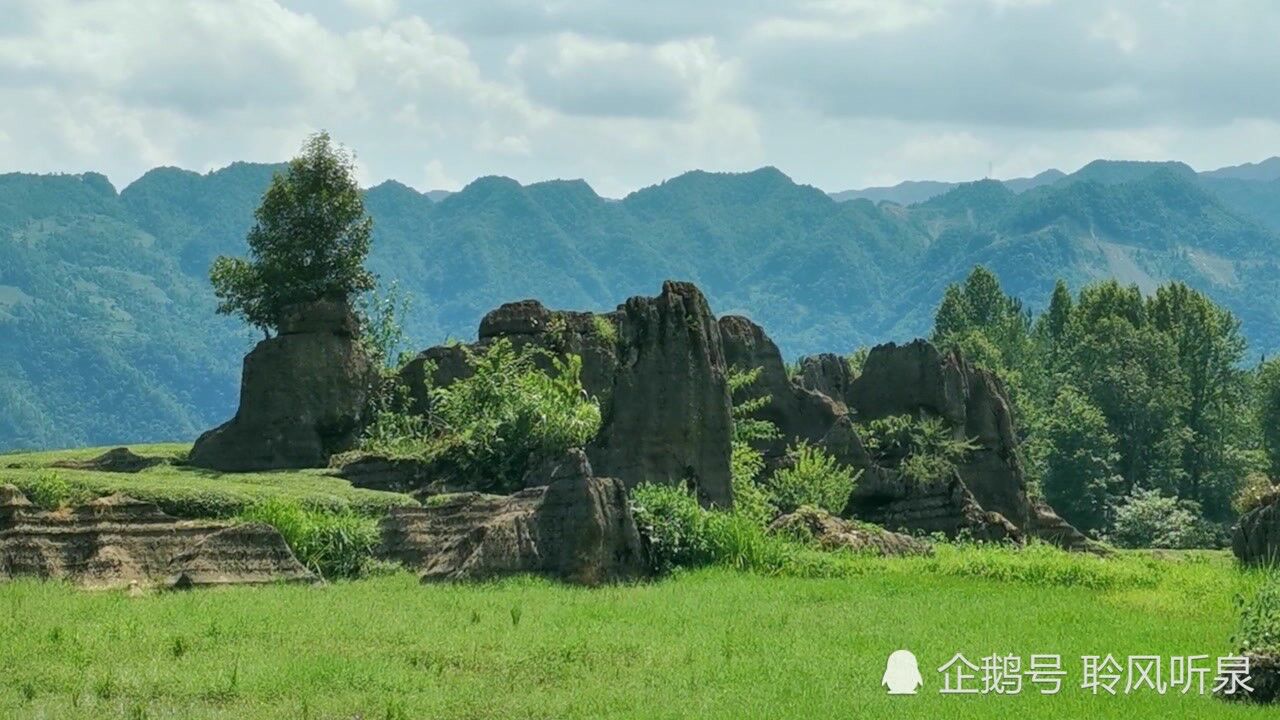 罗坪长梯隘的红石林和青石林,是大自然鬼斧神工的杰作