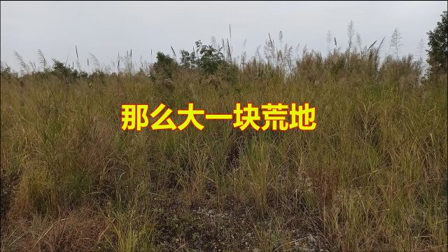 广西柳州柳工大道东侧建铁路物流中心,那这一块荒地建什么产业呢