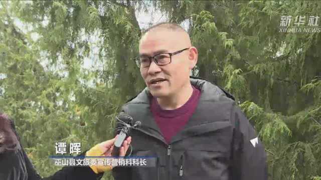 重庆长江三峡红叶节:游客近百万人