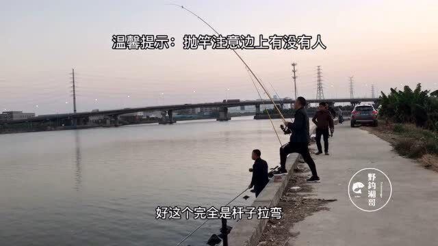 野钓东莞麻涌镇海心沙岛,大乌头麦鲮持续连竿,钓友们都乐开了花