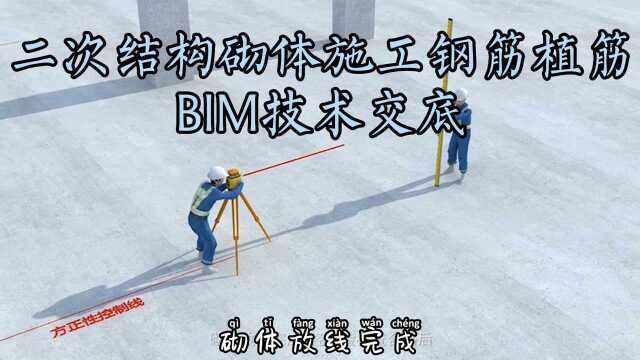 二次结构砌体施工钢筋植筋BIM技术交底