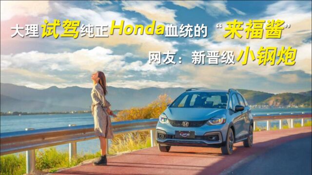 大理试驾纯正Honda血统的“来福酱”,网友:新晋级小钢炮