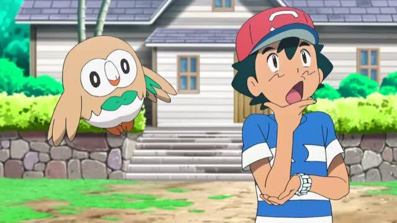 木木枭不经意的举动,帮助小智拿下胜利