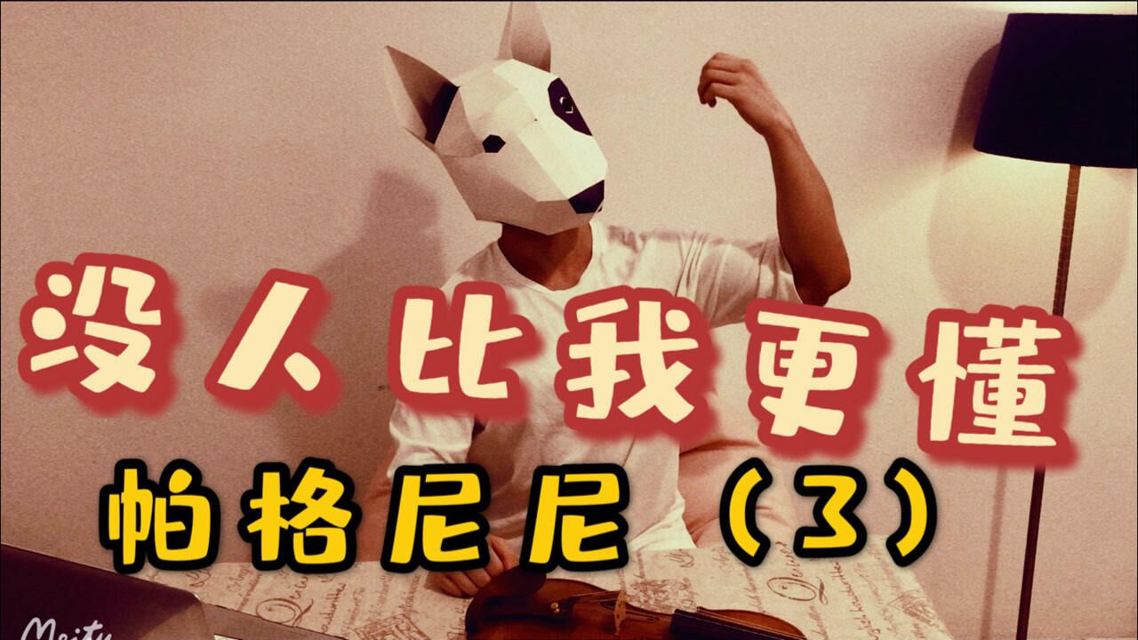 没人比我更懂 第一季 帕格尼尼24随想曲(3)