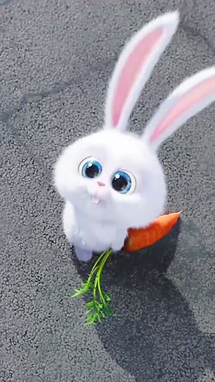 爱宠大机密,奶凶奶凶的兔老大,可爱活泼