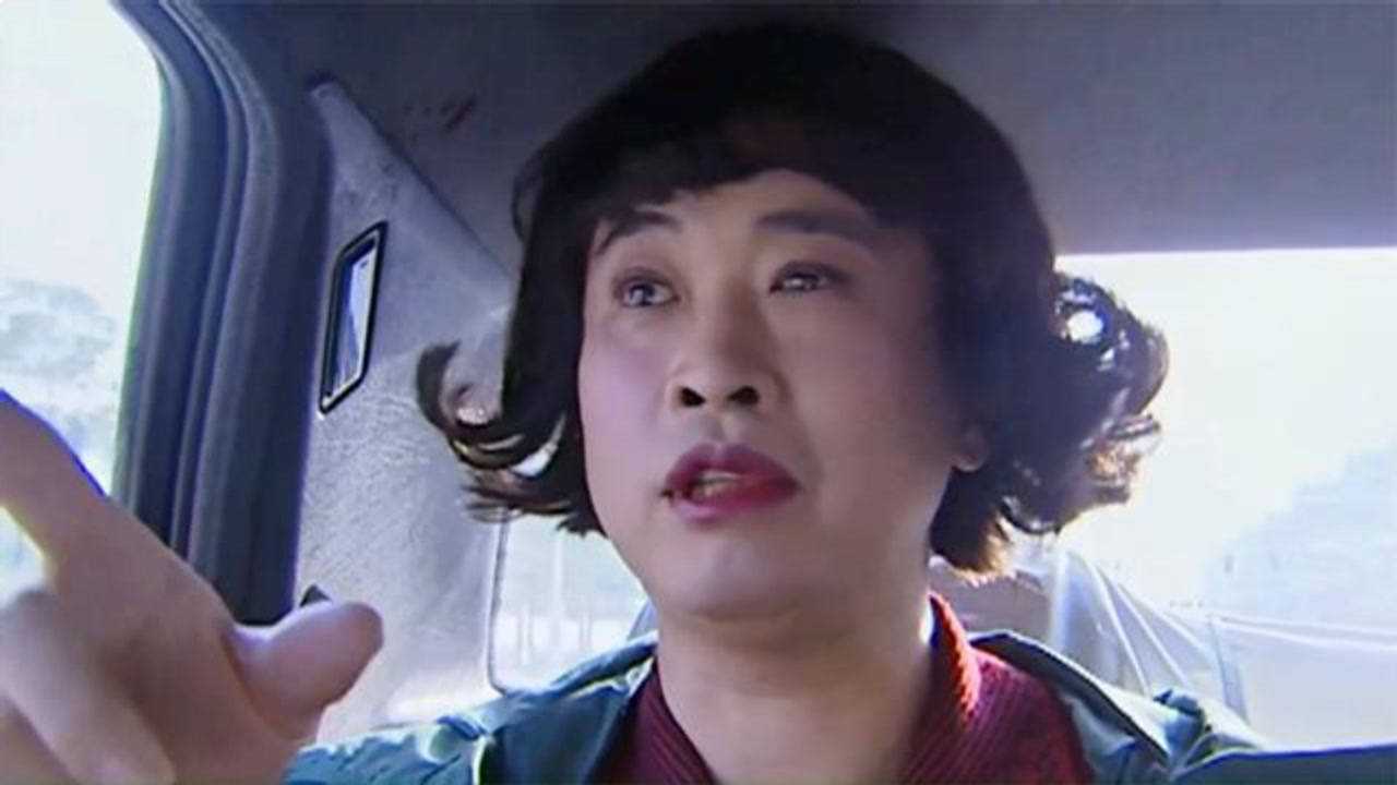 间谍男扮女装中途换车没想到司机是国安局的人天网恢恢