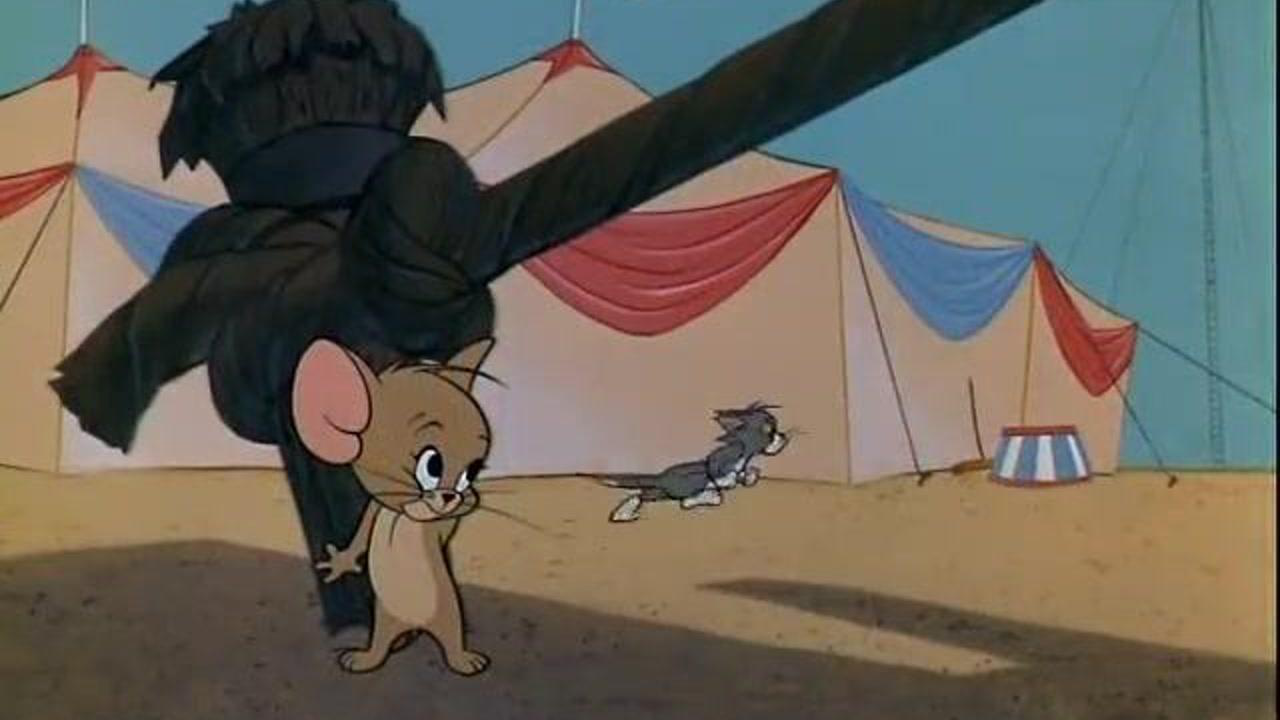 猫和老鼠:杰瑞躲在角落,发现大象正在哭,原来是图钉扎脚了