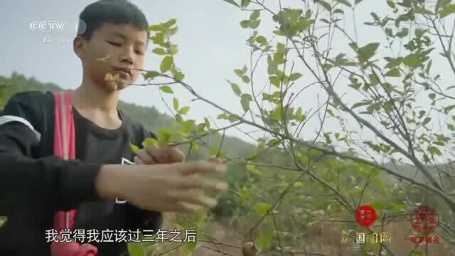 舌尖上的中国:十大碗可丰俭由人,但数量却不能改