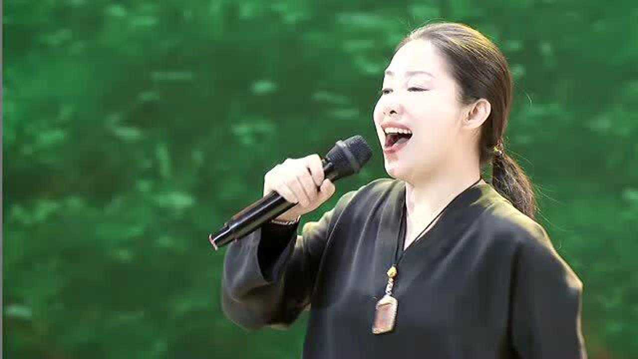 小何岩生日演唱会李雨儿演唱歌曲《就恋这把土》吉林辽源现场版