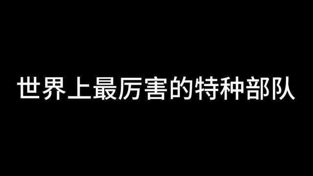 世界上最厉害的特种部队,第三名俄罗斯阿尔法小组!