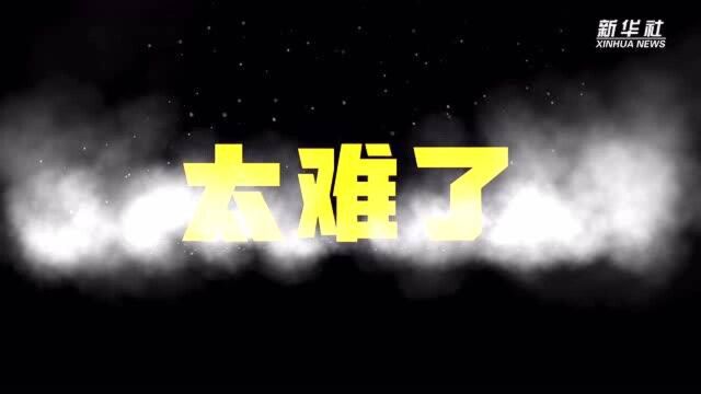 走过四季:乘风破浪的“三农”面孔