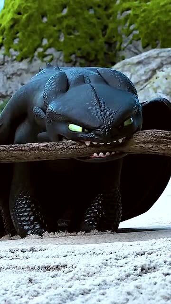 驯龙高手无牙仔是个妻管严惹老婆生气跳个舞哄光煞开心