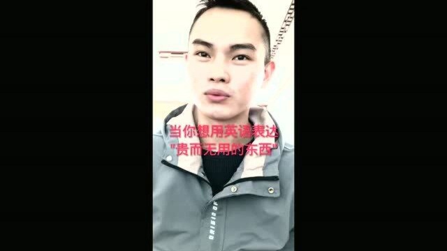 '贵而无用的东西'英语怎么说?