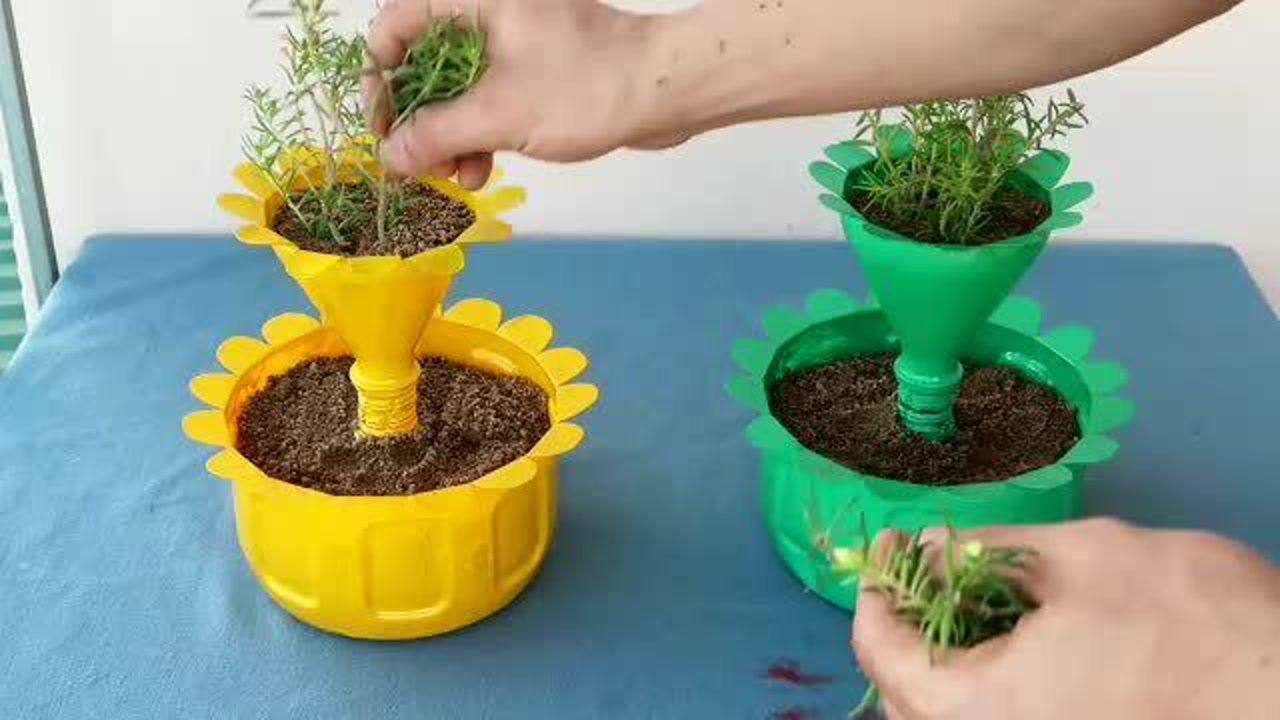回收塑料瓶手工制作美丽的两层花盆种植马齿苋玫瑰太好看了喜欢吗