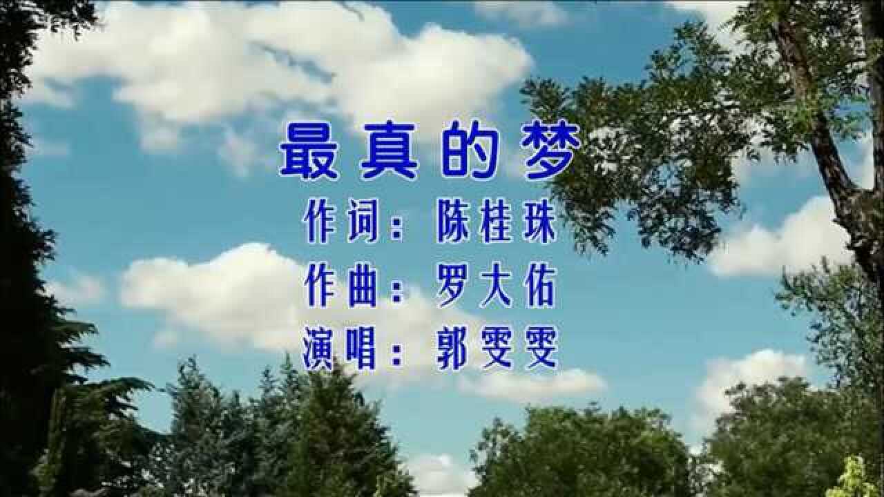 最真的梦-郭雯雯