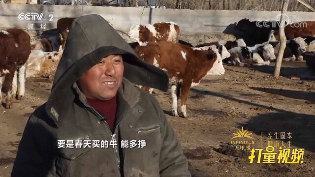 今年牛肉价格暴涨,养殖户的收入涨了多少?结果很意外