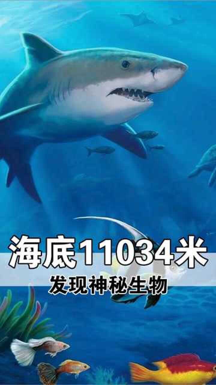 海底两万里,到底有多深…_腾讯视频