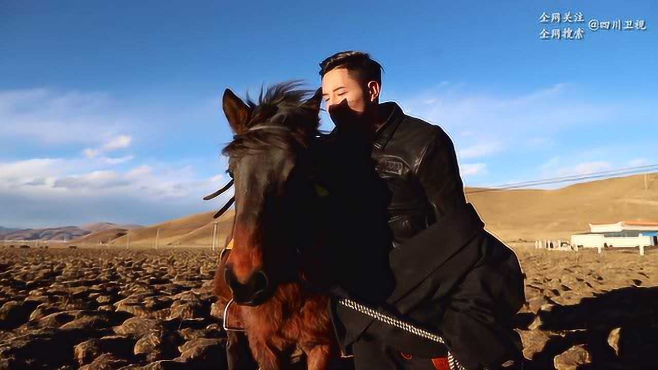 来自"天空之城"的藏风美少年