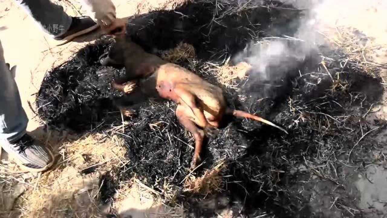 农村过冬的火烧狗,你见过吗?场面有点残忍_腾讯视频