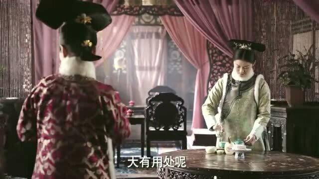 如懿传卫嬿婉派芸角进入贝勒府,芸角聪明,永琪一眼就看上