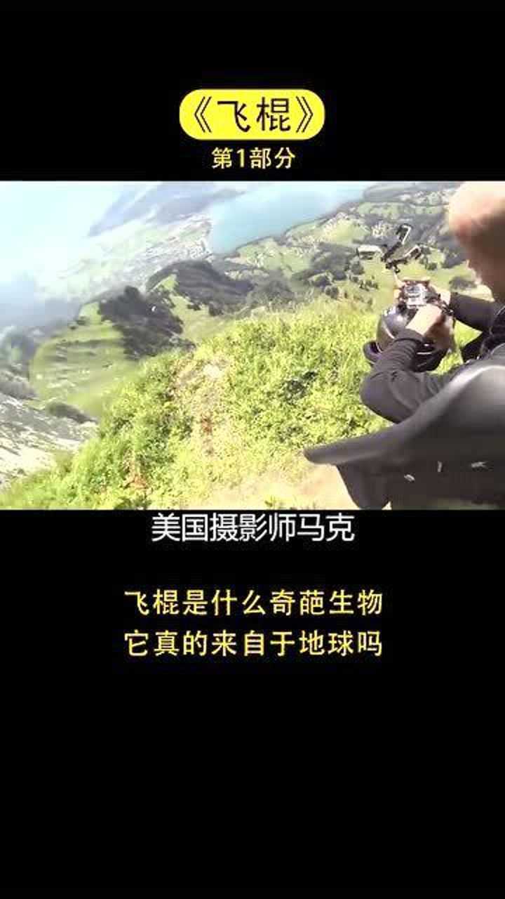 传说中的飞棍是什么生物?它真的是地球生物吗?(1)