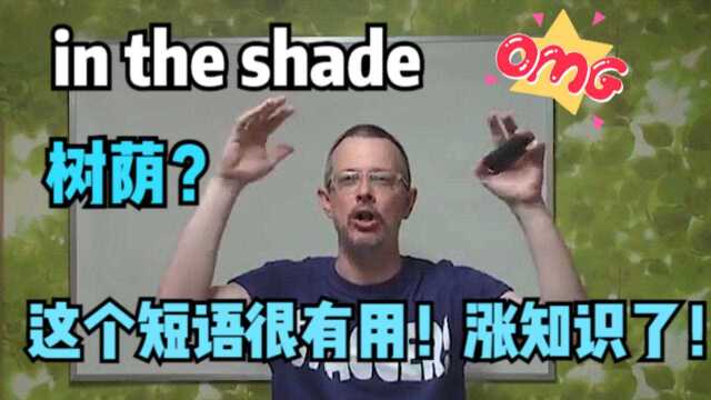 今天分享一个非常有用的英语表达:in the shade的详细讲解!