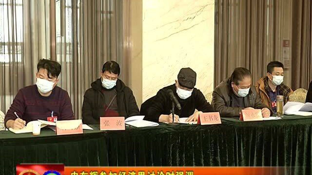 申东辉参加经济界讨论时强调 汇聚发展动能