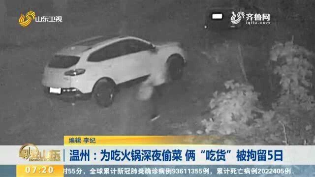 温州:为吃火锅深夜偷菜 俩“吃货”被拘留5日