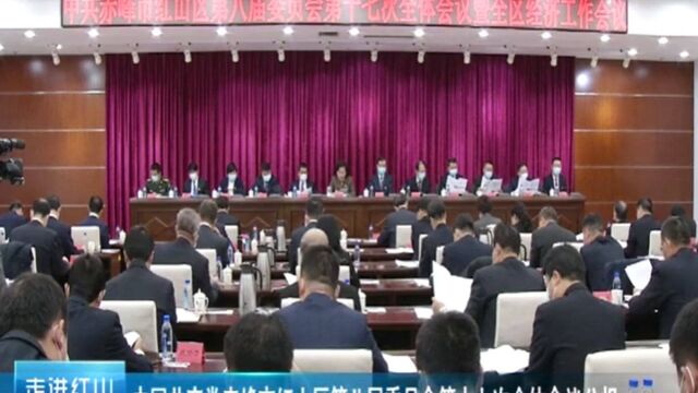 中国共产党赤峰市红山区第八届委员会第十七次全体会议公报