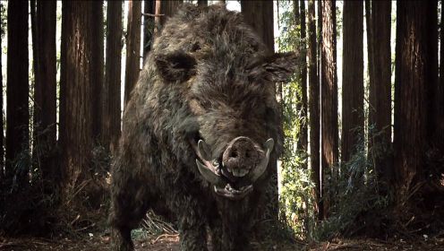 猎人用小猪崽当诱饵，结果引来巨型食人猪，体型堪比史前巨兽