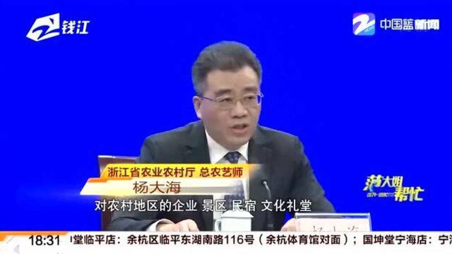 浙江省农村地区药店 春节春运期间停售退烧、抗感染等药物