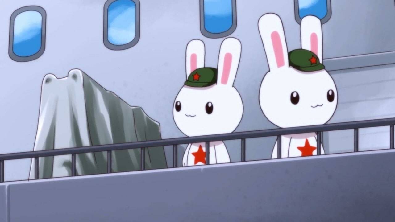 那年那兔那些事儿东风快递海外事业部在狗大户家成立了