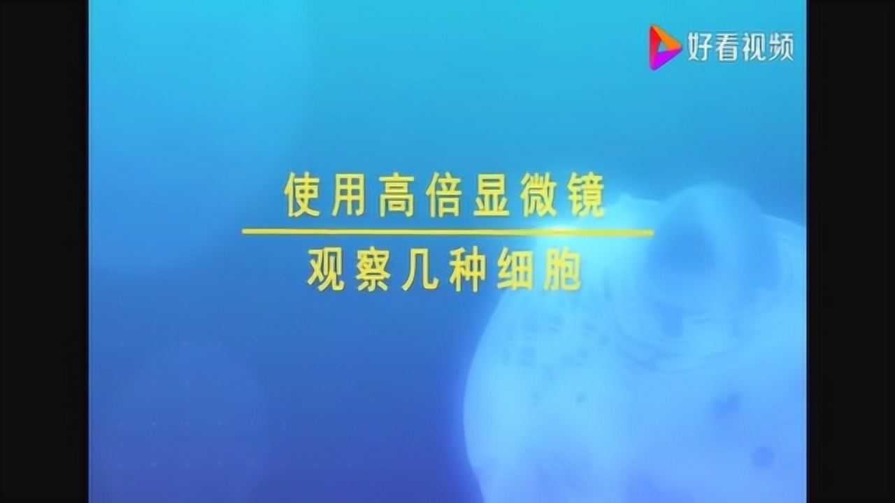 人教2019版高中生物必修一实验《使用高倍显微镜观察几种细胞》_高清