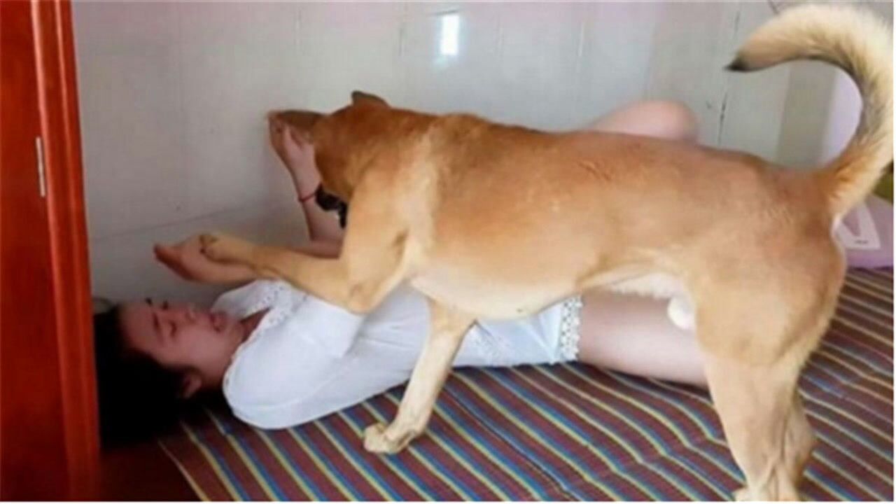 单身美女为啥都爱养公狗?这2个原因很重要,看完才知背后猫腻